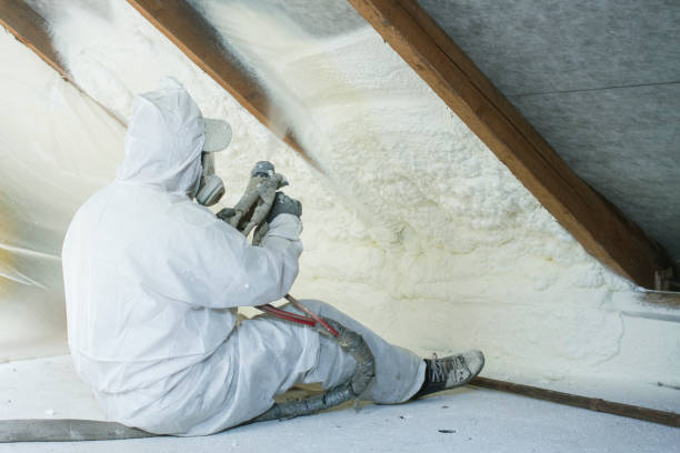 Types of Insulation We Offer in Foresthill, CA